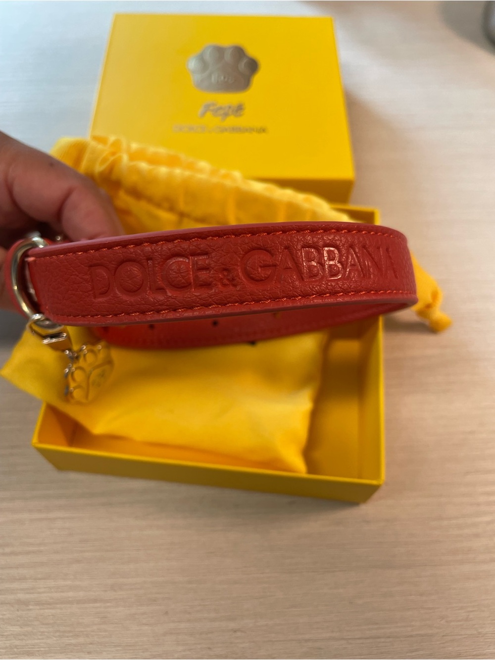Fefé Dolce & Gabbana DG Leather Dog Collard
